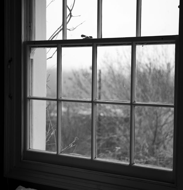 Blick durch ein Fenstergitter. Draußen: winterliches Gestrüpp
