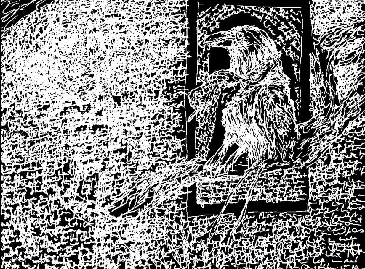 <img source='pic.gif' alt='Digitale Zeichnung Rabe sitzt in einem Fenster Er und seine Umgebung bestehen aus Schrift'/>