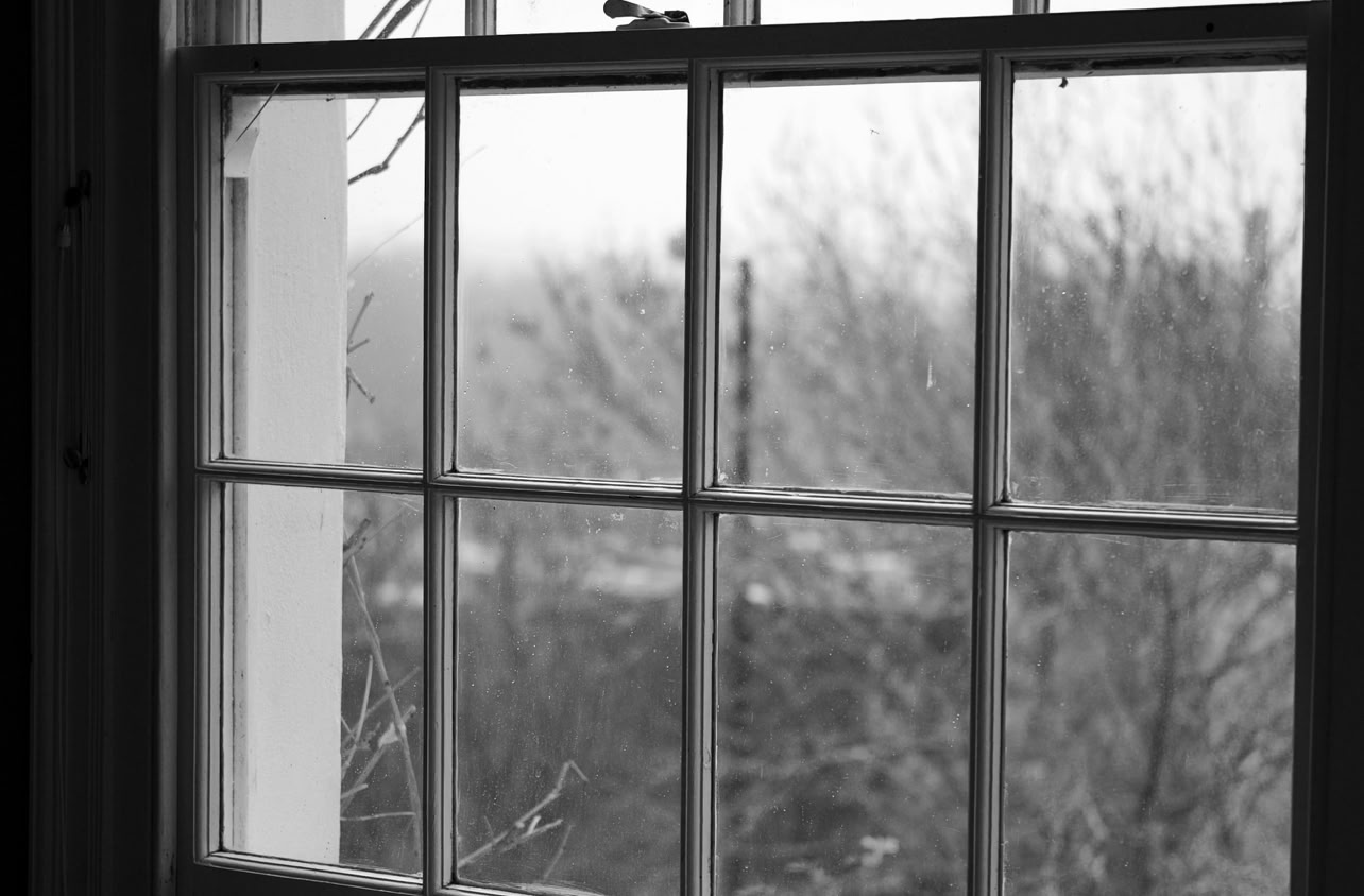 Blick aus Fenster Blick durch ein Fenstergitter. Draußen: winterliches Gestrüpp