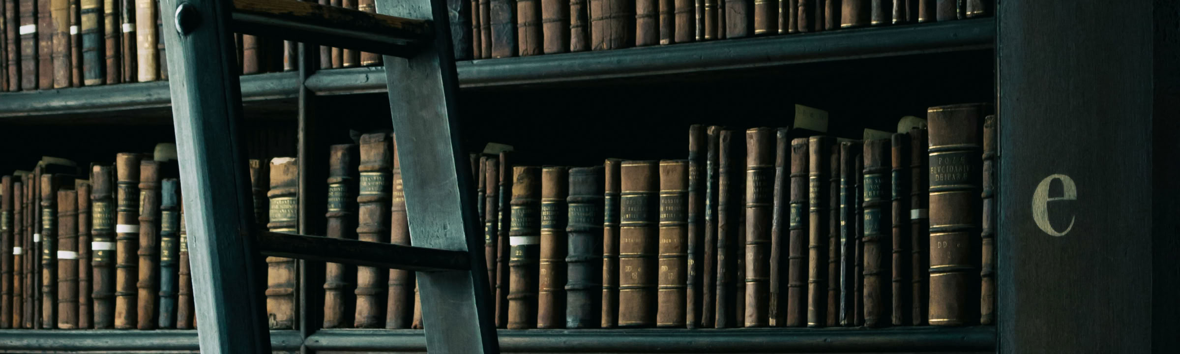 <img source='pic.gif' alt='Bild einer alten Bibliothek mit Leiter'/>